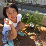 奈良県奈良市西洋シャクナゲとセイヨウニンジンボクの植樹風景