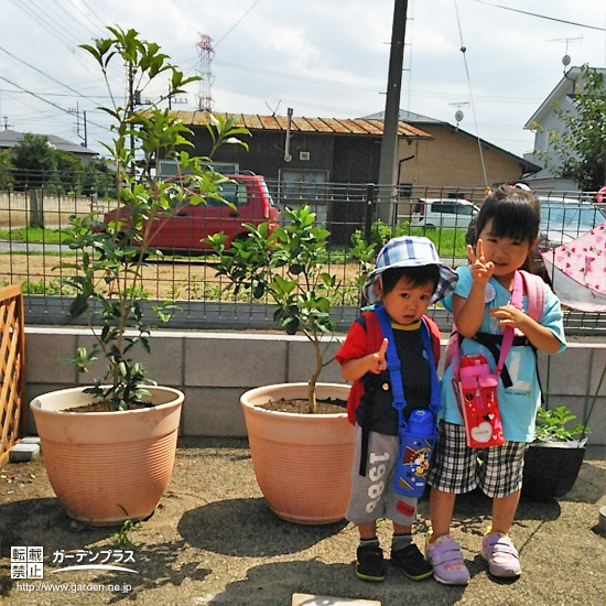埼玉県東松山市キンモクセイとキンカンの植樹風景