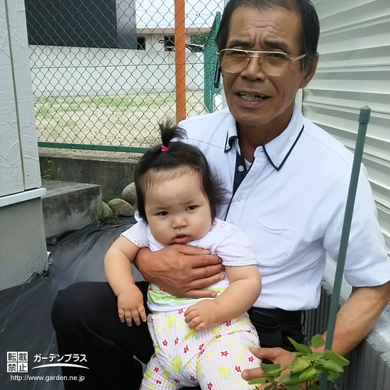 群馬県みどり市ジューンベリーの植樹風景