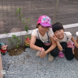 宮城県仙台市太白区ジューンベリーとレモンの植樹風景