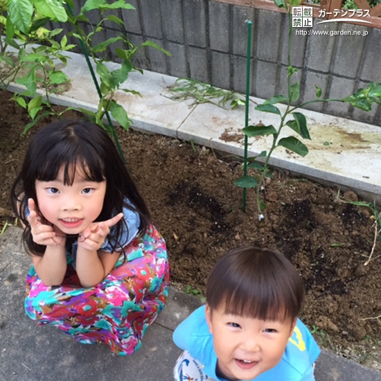 大阪府豊能郡豊能町レモンの植樹風景