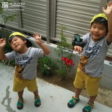 愛知県名古屋市もみじ（カエデ）と西洋シャクナゲの植樹風景