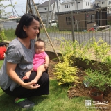 埼玉県飯能市レモンとセイヨウニンジンボクの植樹風景