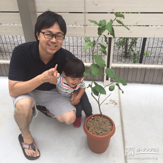 埼玉県越谷市レモンの植樹風景