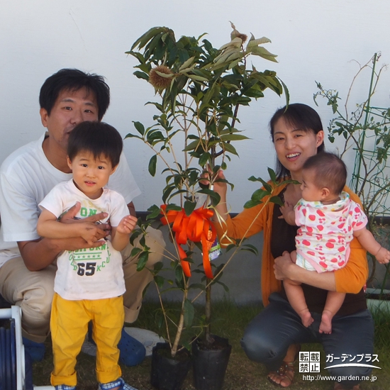 兵庫県宝塚市クリとキンモクセイの植樹風景