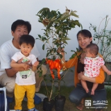 兵庫県宝塚市クリとキンモクセイの植樹風景