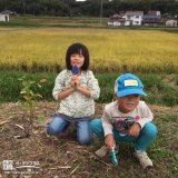 広島県東広島市ジューンベリーの植樹風景