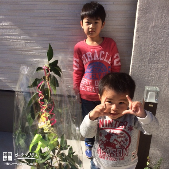 埼玉県埼玉県川越市西洋シャクナゲとレモンの植樹風景