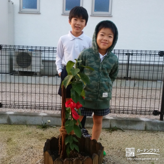 佐賀県神埼郡ジューンベリーとレモンの植樹風景