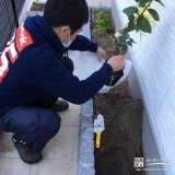 奈良県生駒市レモンの植樹風景