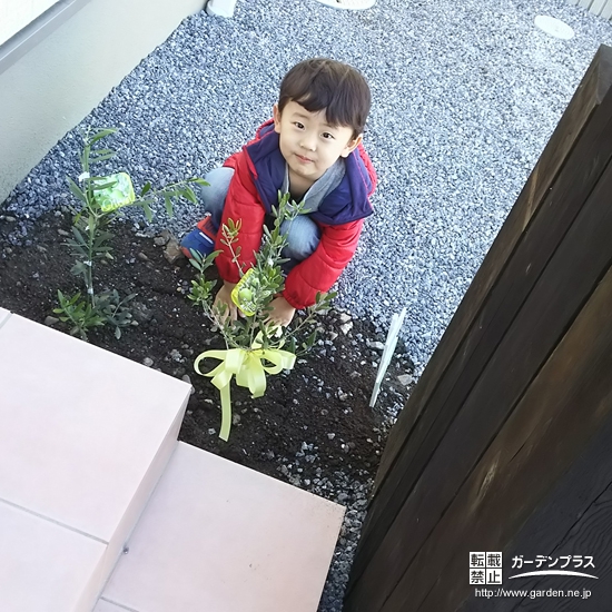 栃木県小山市オリーブの植樹風景