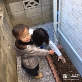 東京都立川市ジューンベリーとライラックの植樹風景