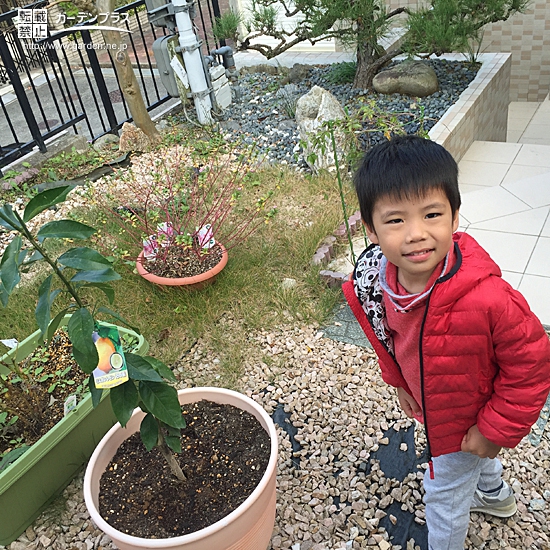 奈良県生駒市レモンの植樹風景