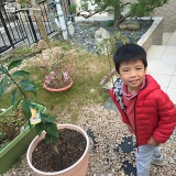 奈良県生駒市レモンの植樹風景