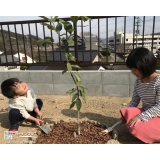 岡山県浅口郡里庄町レモンと月桂樹（ローリエ）の植樹風景
