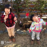 千葉県松戸市紅葉トキワマンサクとライラックの植樹風景