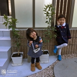 京都府八幡市レモンの植樹風景