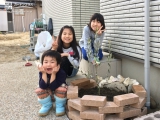 岐阜県各務原市レモンとオリーブと四季咲きモクセイの植樹風景