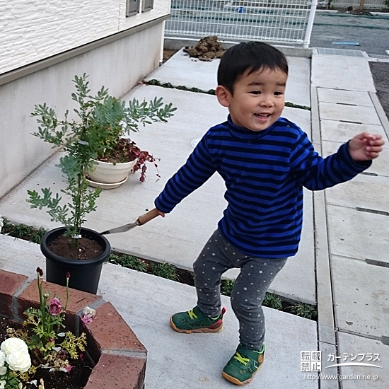 神奈川県海老名市オリーブとミモザの植樹風景