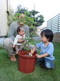 埼玉県所沢市ラズベリーの植樹風景