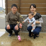 香川県高松市ハナミズキの植樹風景