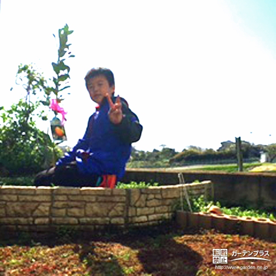 神奈川県横須賀市レモンの植樹風景