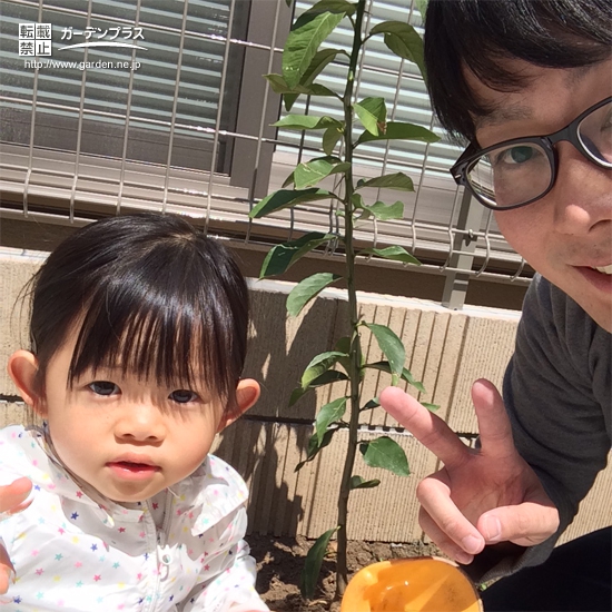 埼玉県さいたま市南区レモンの植樹風景