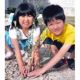 愛知県豊田市オリーブとジューンベリーとミモザの植樹風景