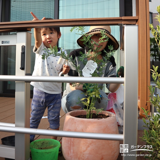 東京都国立市ミモザの植樹風景