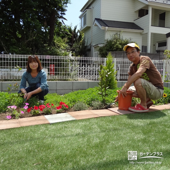 千葉県習志野市キンモクセイと月桂樹（ローリエ）の植樹風景