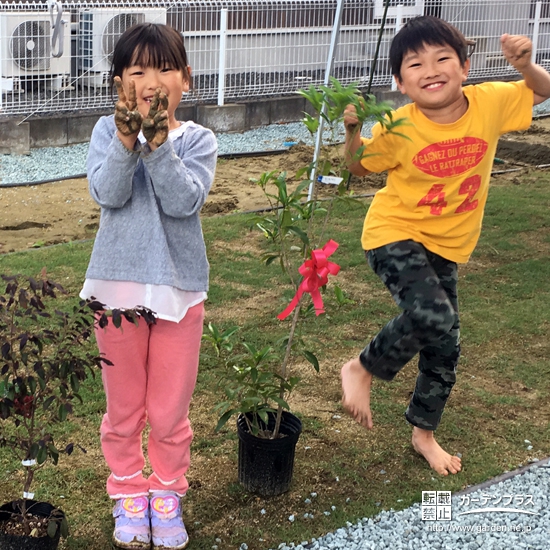 宮城県黒川郡富谷町キンモクセイと紅葉トキワマンサクの植樹風景