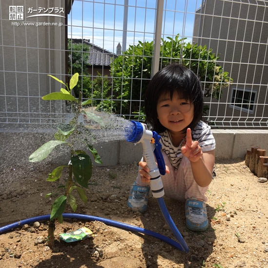 愛知県大府市レモンの植樹風景