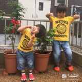 兵庫県姫路市もみじ（カエデ）と西洋シャクナゲの植樹風景