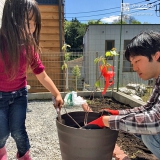 神奈川県横浜市旭区ジューンベリーとキンカンの植樹風景