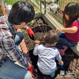 神奈川県横浜市旭区ジューンベリーとキンカンの植樹風景