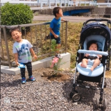 岐阜県関市ミモザともみじ（カエデ）とオリーブの植樹風景