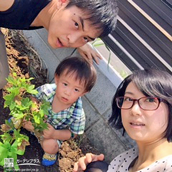 埼玉県比企郡滑川町もみじ（カエデ）の植樹風景