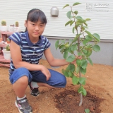 神奈川県大和市ジューンベリーとカキとイチジクの植樹風景