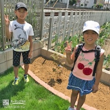 埼玉県鴻巣市もみじ（カエデ）とレモンの植樹風景