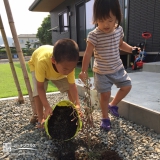 宮崎県日南市オリーブとキンモクセイの植樹風景