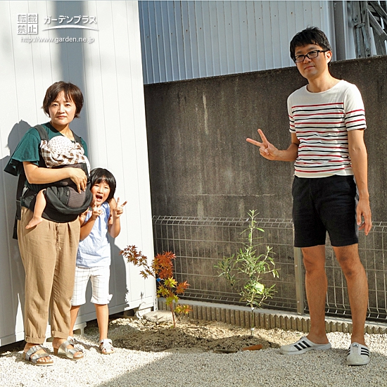 愛知県豊田市もみじ（カエデ）とオリーブの植樹風景