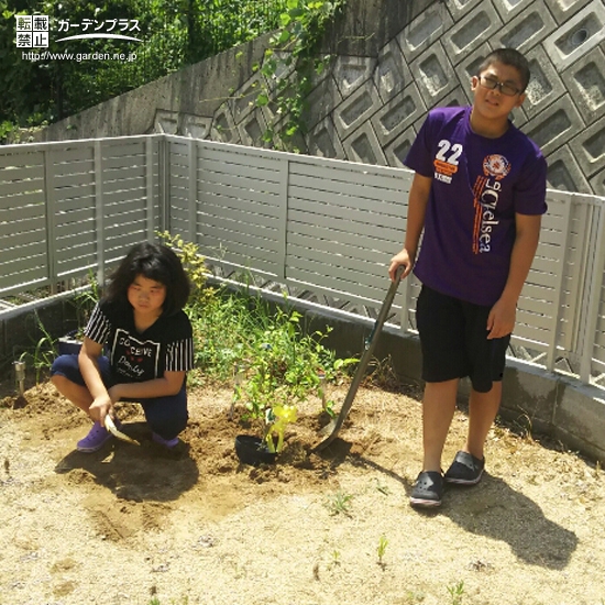 兵庫県神戸市垂水区カラタネオガタマの植樹風景