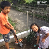 神奈川県横浜市戸塚区キンカンとビワの植樹風景