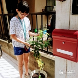 東京都府中市オリーブとレモンの植樹風景