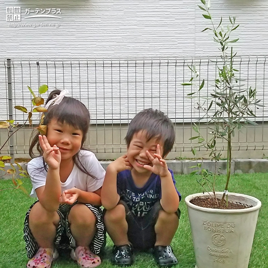 岐阜県瑞穂市ジューンベリーとオリーブの植樹風景