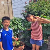 東京都東大和市西洋シャクナゲともみじ（カエデ）とレモンの植樹風景