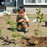 長野県中野市ジューンベリーの植樹風景