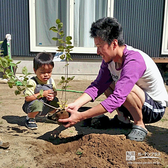 長野県中野市ジューンベリーの植樹風景