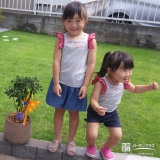 埼玉県さいたま市見沼区オリーブの植樹風景