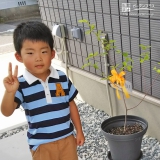 愛知県小牧市ジューンベリーと西洋シャクナゲの植樹風景